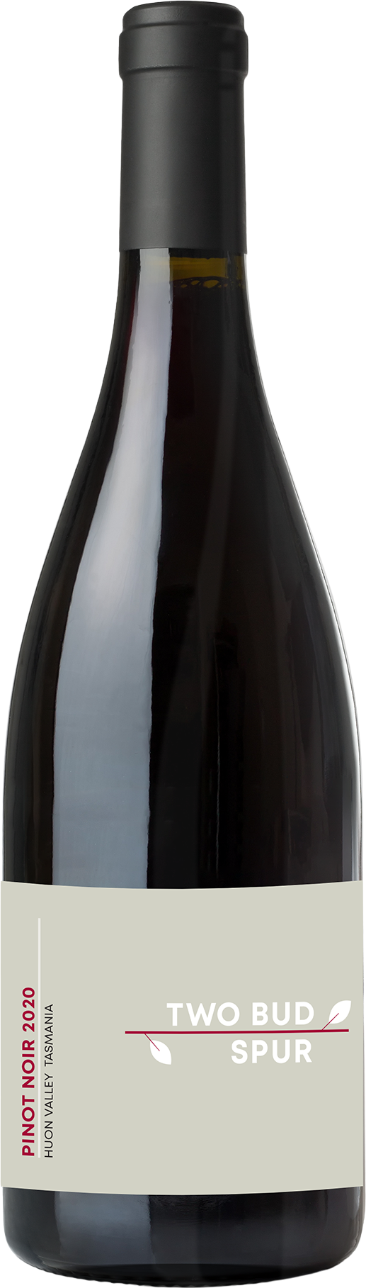 Two Bud Spur Pinot Noir 2020